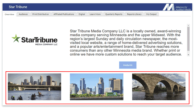 Star Tribune Brand View Overview tab